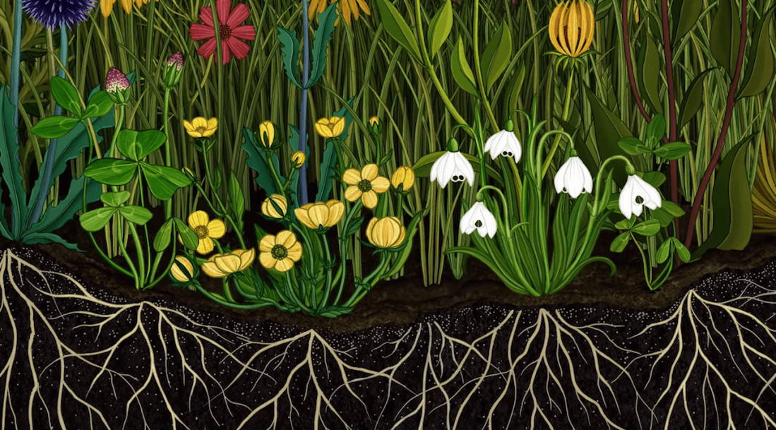 Azuma Makoto Kaju Kenkyusho (AMKK) presents Botanical animation "Story of Flowers".