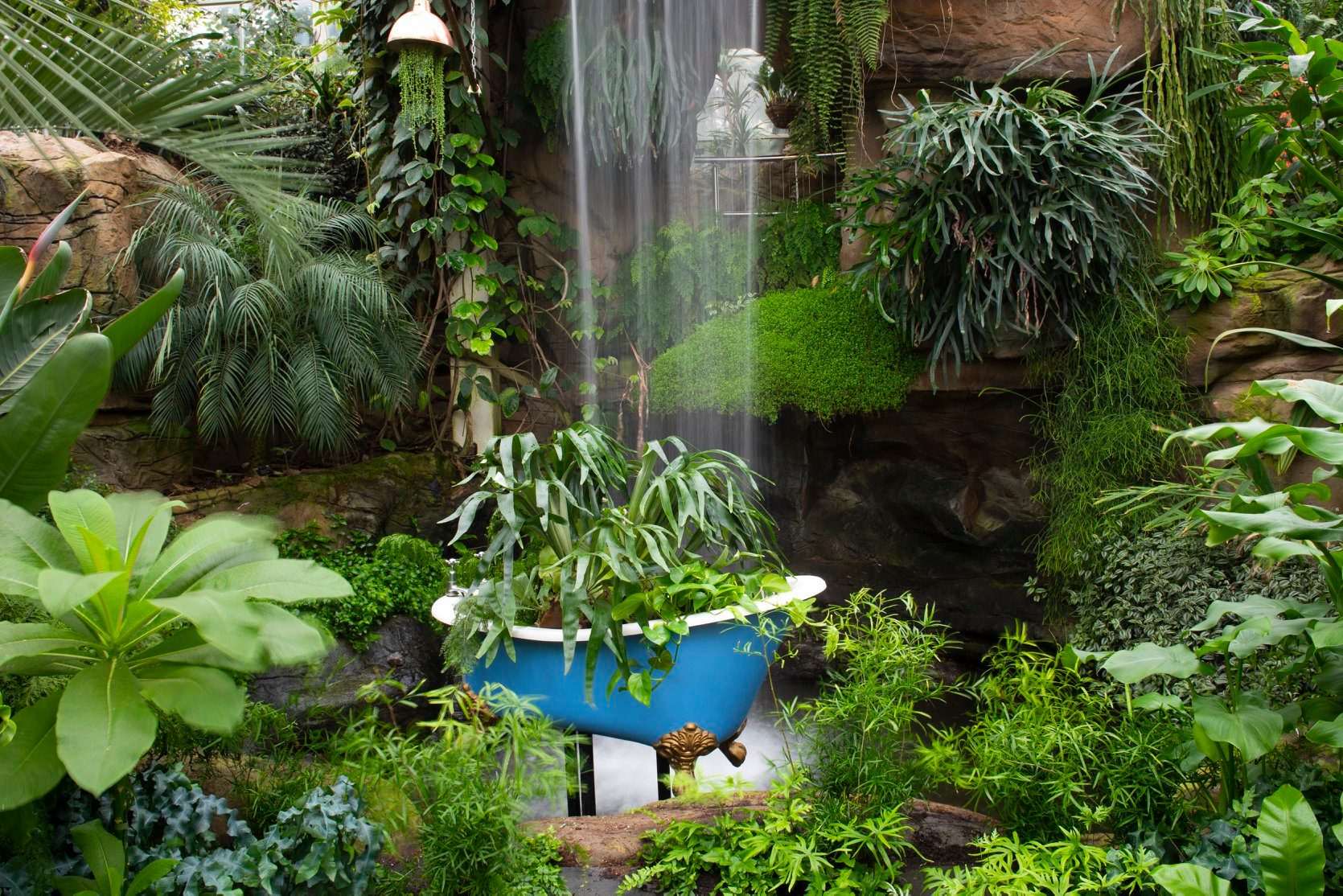 The Giant Houseplant Takeover at RHS Garden Wisley. Credit: RHS / Joanna Kossak