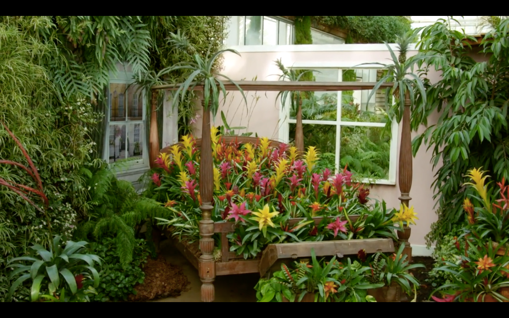 Giant Houseplant Takeover, a temporary exhibit inside the Glasshouse at RHS Garden Wisley in 2020.