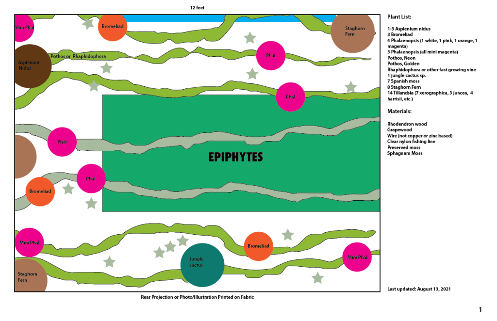 Epiphytes. Orchids, various species of fern, bromeliads, tillansdsia, pothos, and various jungle cactus.