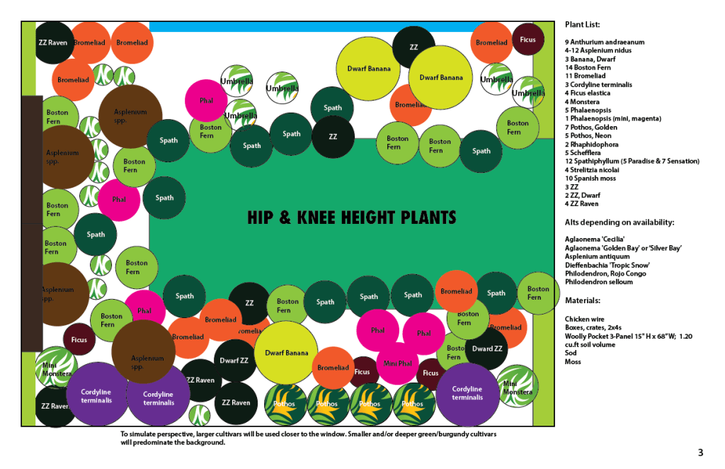 Hip and Knee Height plants.