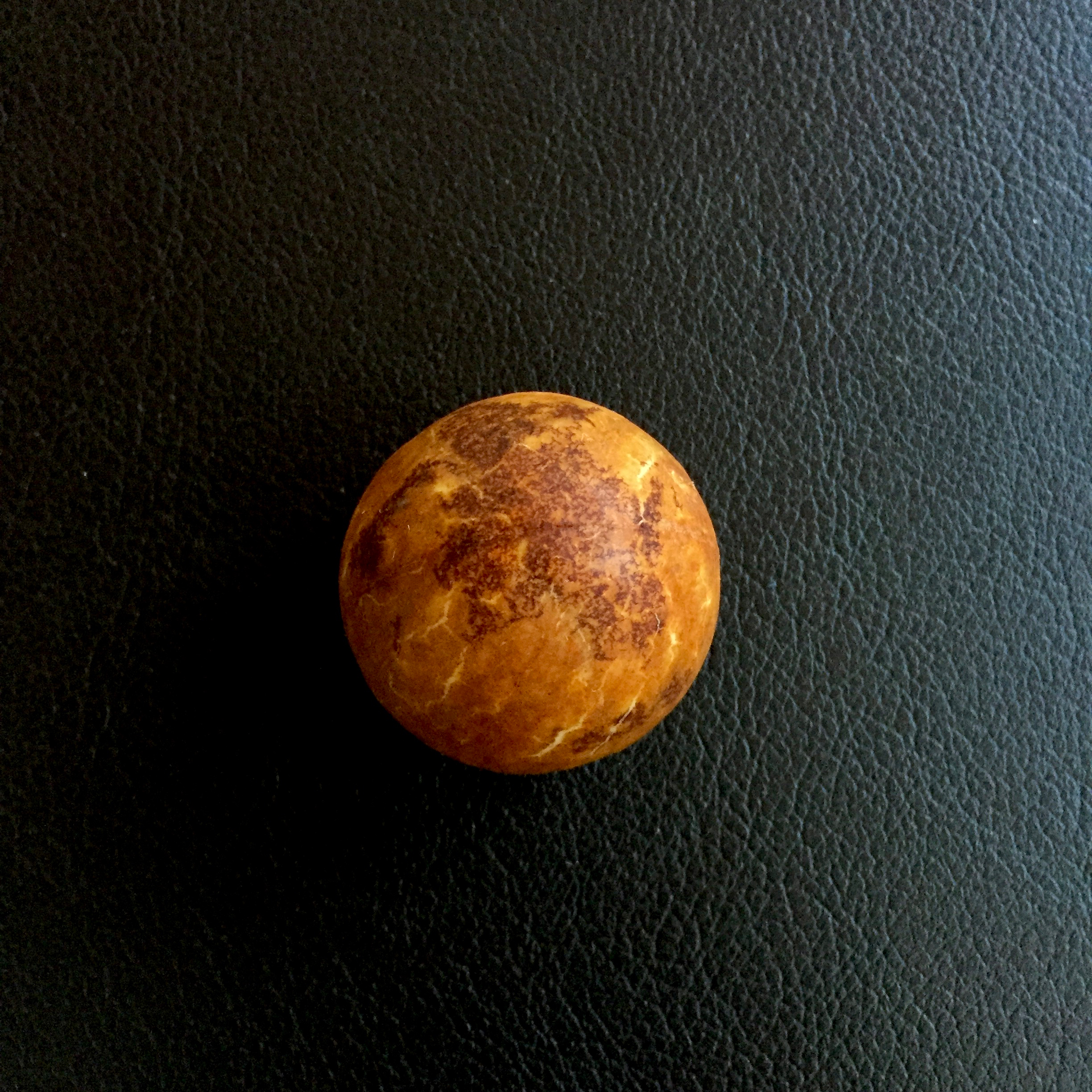 Seed of Persea americana (avocado).