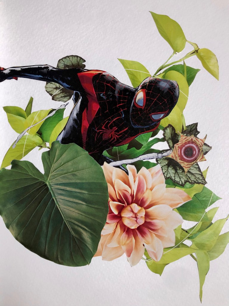 Involucrata: Collage 002. Cat Laine. September 08, 2021.